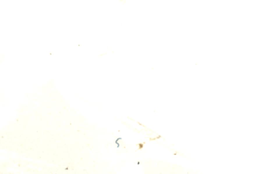 Image 120